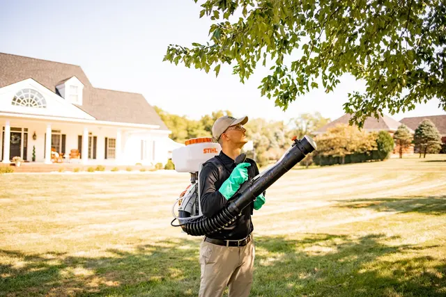 Mosquito Hero — photo from the business 5