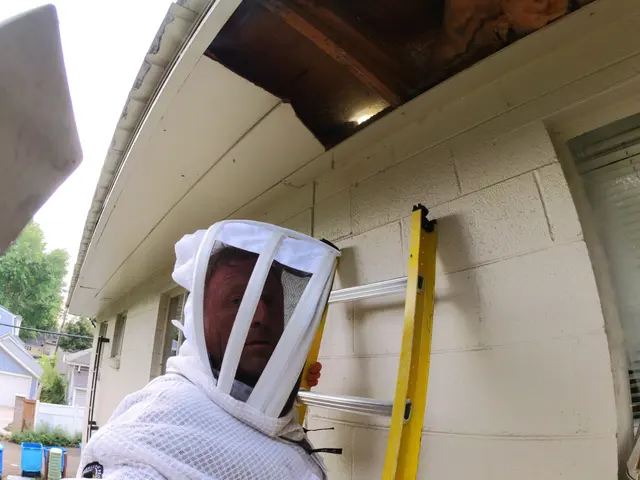 Critter Control of Fort Collins — photo from the business 9