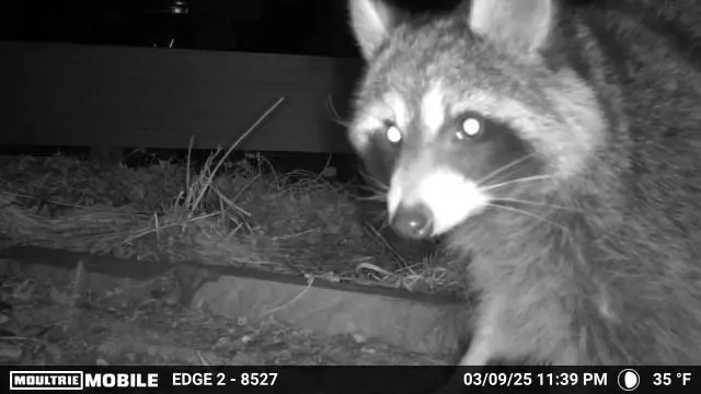 Critter Control of Fort Collins — photo from the business 2