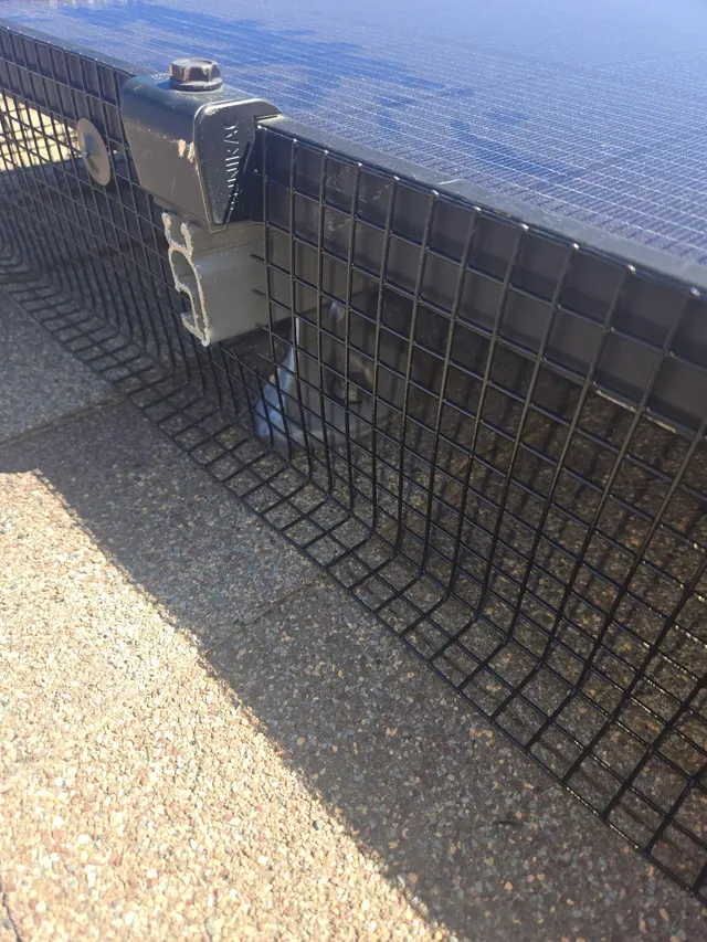 Critter Control of Fort Collins — photo from the business 10