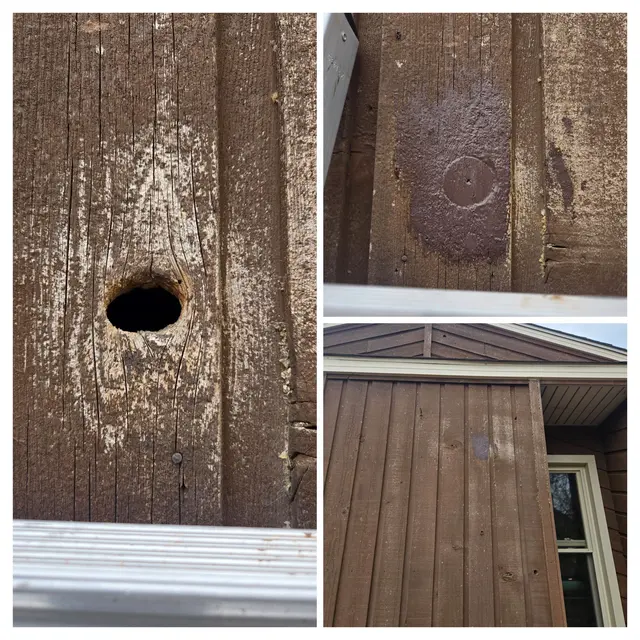 Critter Control of Fort Collins — photo from the business 7