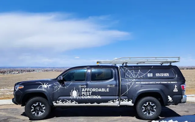 Affordable Pest Control — photo from the business 1
