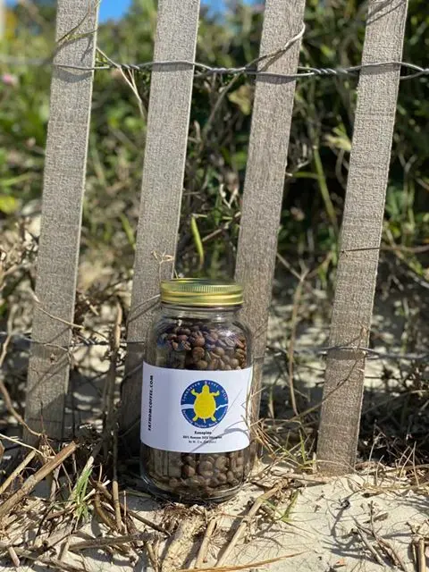 Fathom Coffee — photo from the business 7