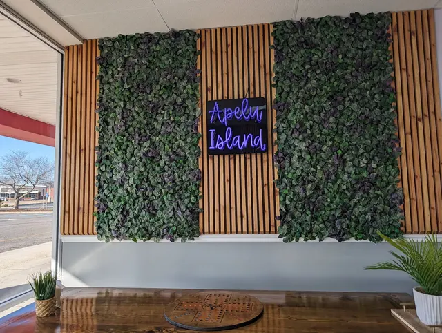 Customer photo of work by Apelu Island Cafe, from Matea L.'s review