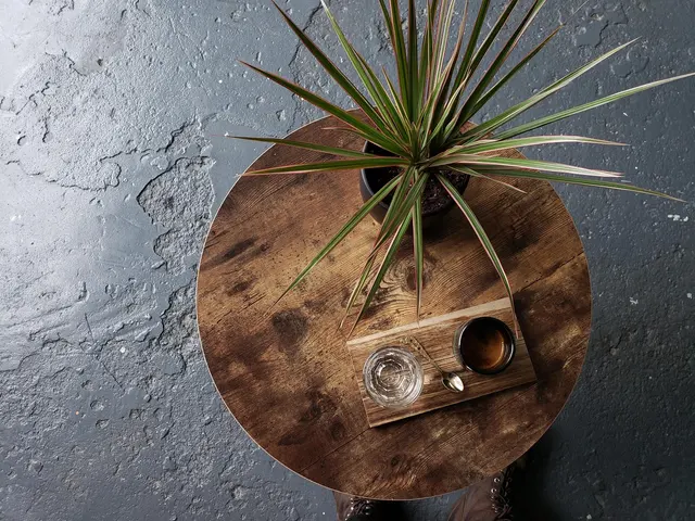 Kobros Coffee — photo from the business 6