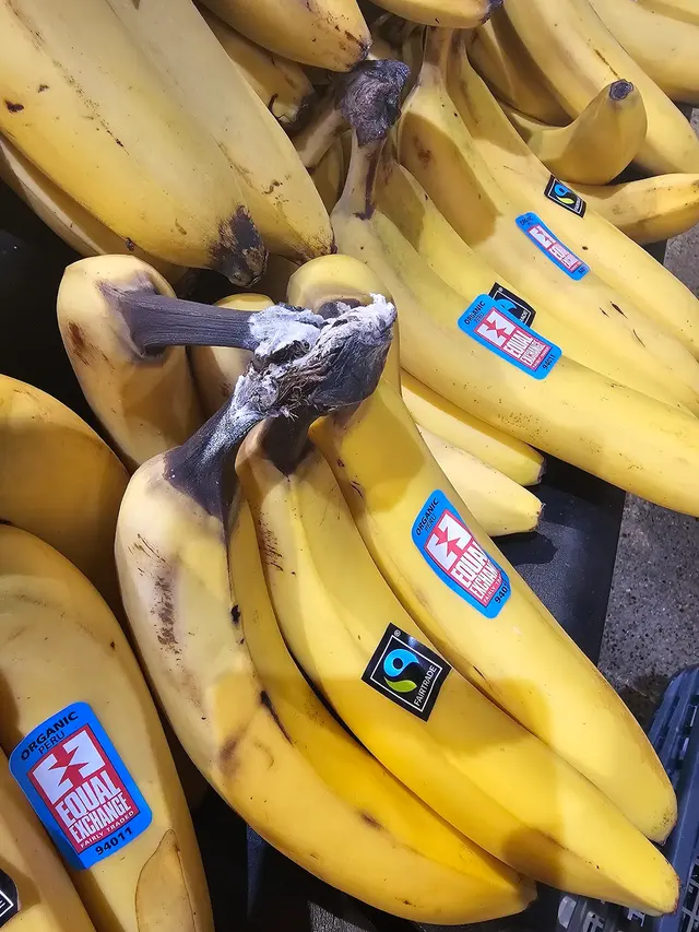 Customer photo of work by Valley Natural Foods, from Chris Sam's review