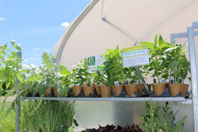 Valley Natural Foods — photo from the business 6