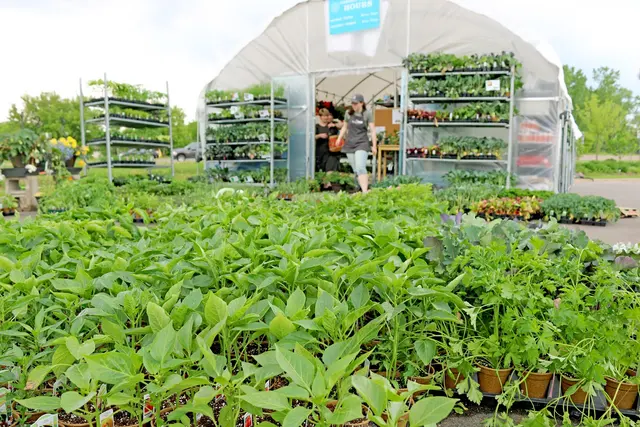 Valley Natural Foods — photo from the business 2