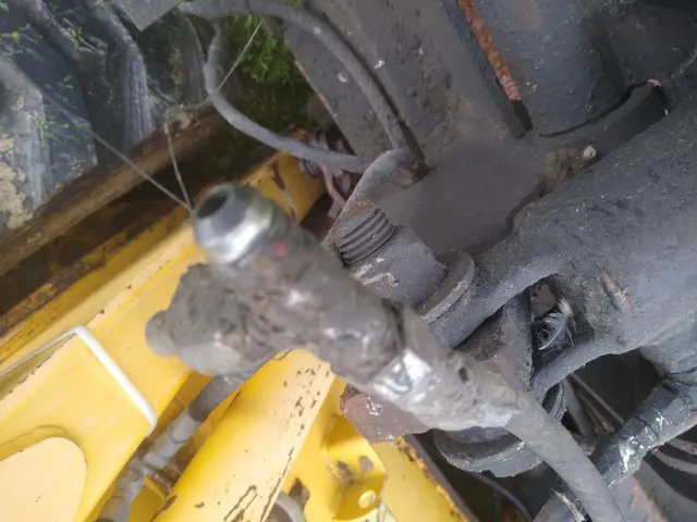 NAPA Auto Parts - Barnhart Davis Company — customer photo 3