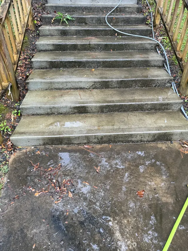 Elite Exterior Soft/Pressure Washing LLC — photo from the business 4