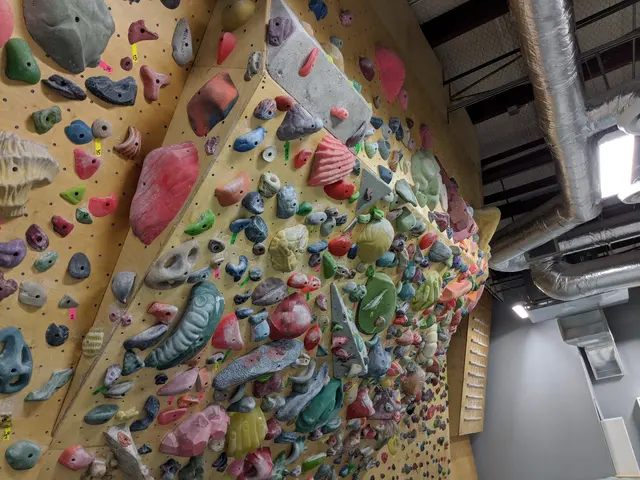 Movement Fort Worth — customer photo 11