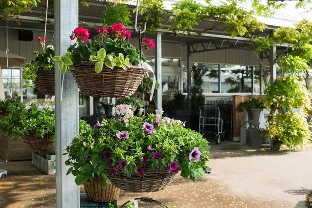 Southwood Landscape and Garden Center — photo from the business 4
