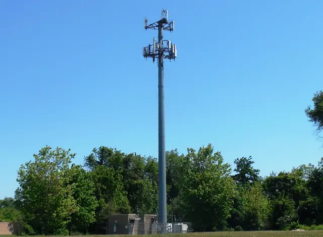 Acer Associates, LLC - Environmental, GPR, Geotechnical — photo from the business 7