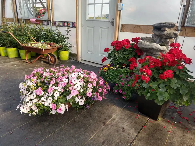 Sunny Acres Greenhouse LLC — photo from the business 12