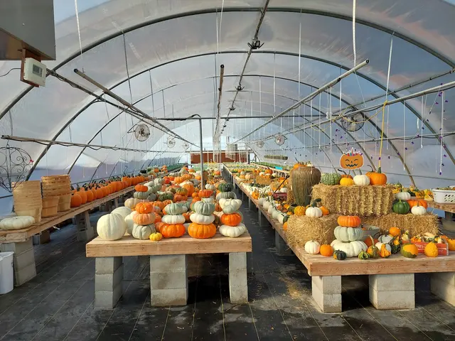 Sunny Acres Greenhouse LLC — photo from the business 6