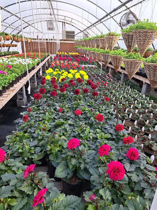 Sunny Acres Greenhouse LLC — photo from the business 7