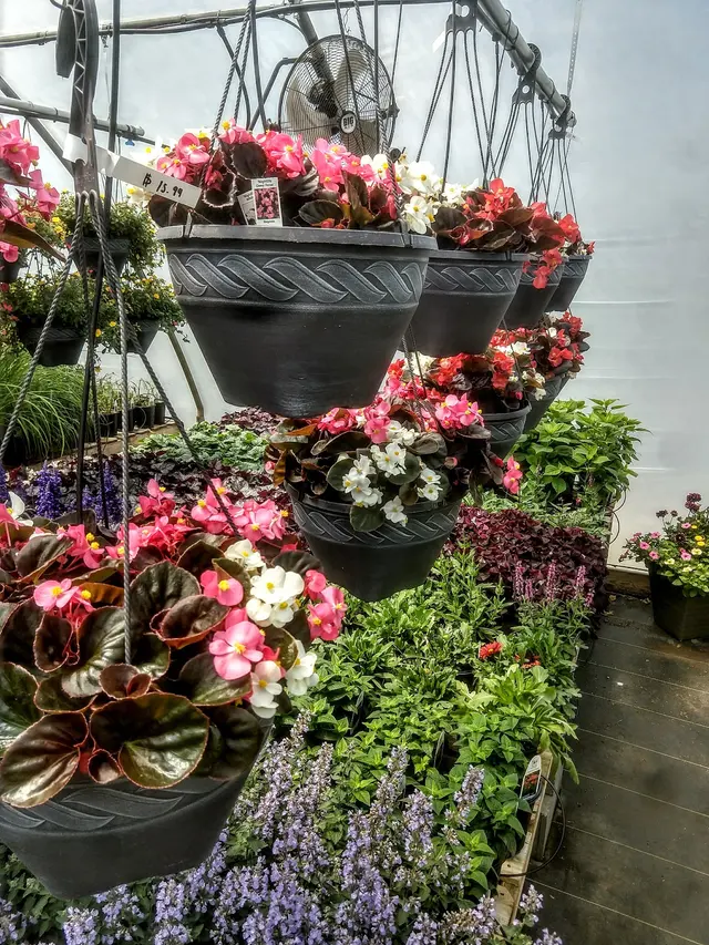 Sunny Acres Greenhouse LLC — photo from the business 9