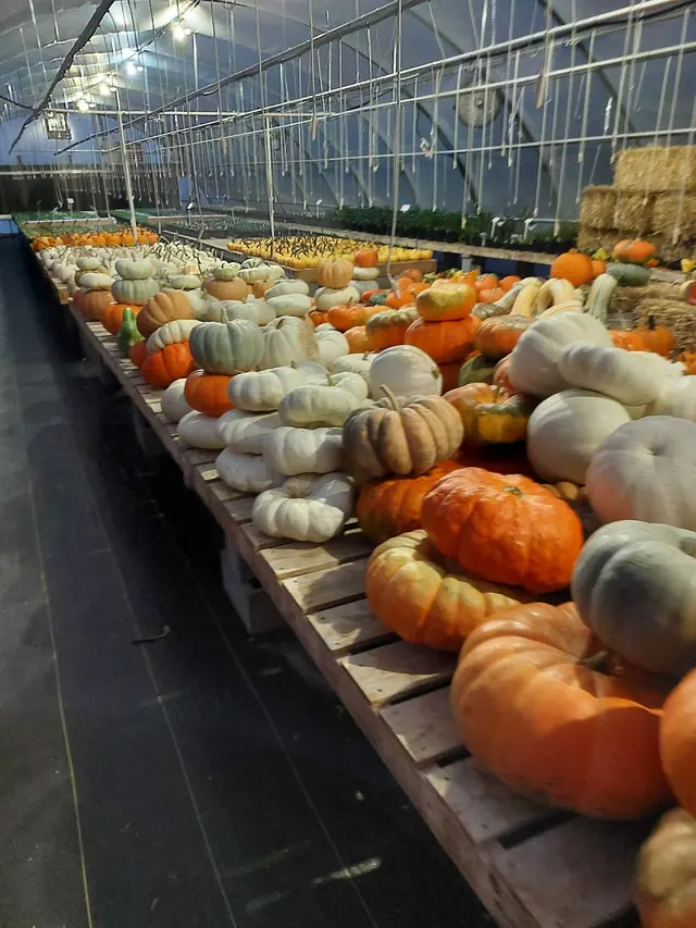 Sunny Acres Greenhouse LLC — photo from the business 5