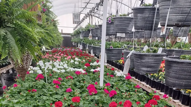 Sunny Acres Greenhouse LLC — photo from the business 1