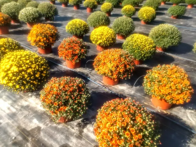 Sunny Acres Greenhouse LLC — photo from the business 8