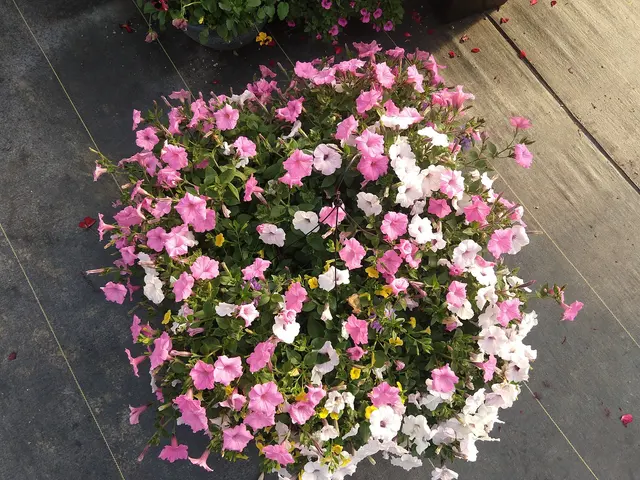 Sunny Acres Greenhouse LLC — photo from the business 4