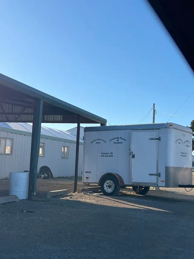 Creekside Plants & Produce — customer photo 7