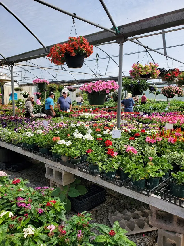 Creekside Plants & Produce — customer photo 2
