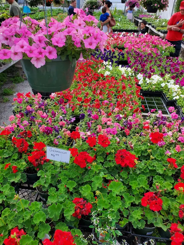 Creekside Plants & Produce — customer photo 1