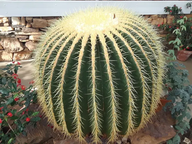 Arboretum — customer photo 12