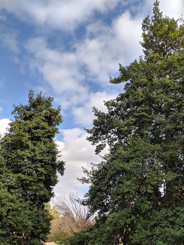 Arboretum — customer photo 10