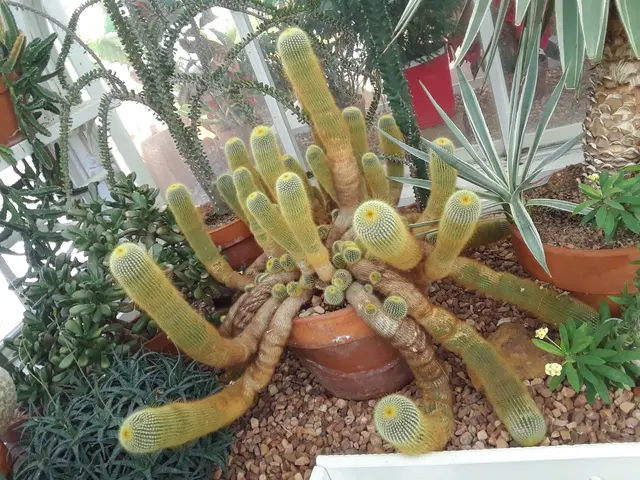 Arboretum — customer photo 8