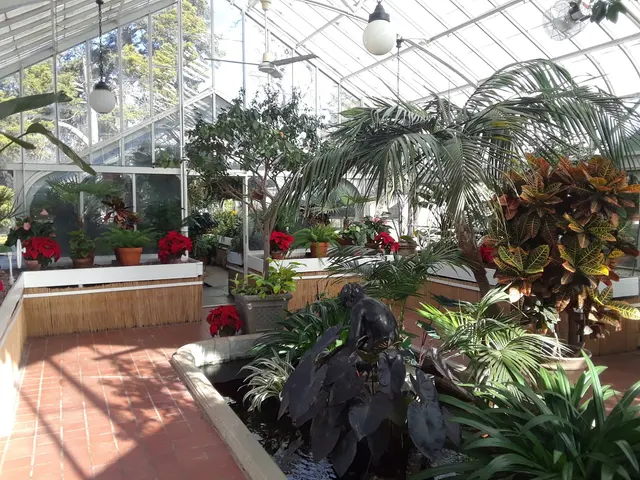 Arboretum — customer photo 4