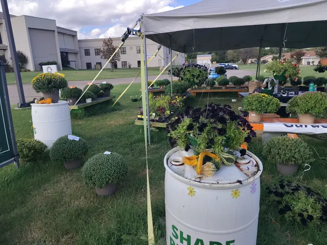 A New Leaf Garden Center in Broken Arrow — customer photo 6