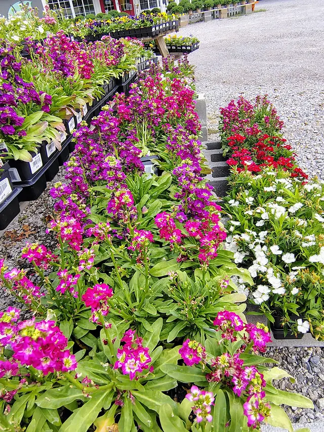 A New Leaf Garden Center in Broken Arrow — customer photo 10