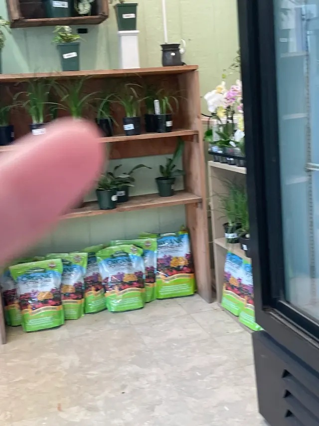 A New Leaf Garden Center in Broken Arrow — customer photo 2
