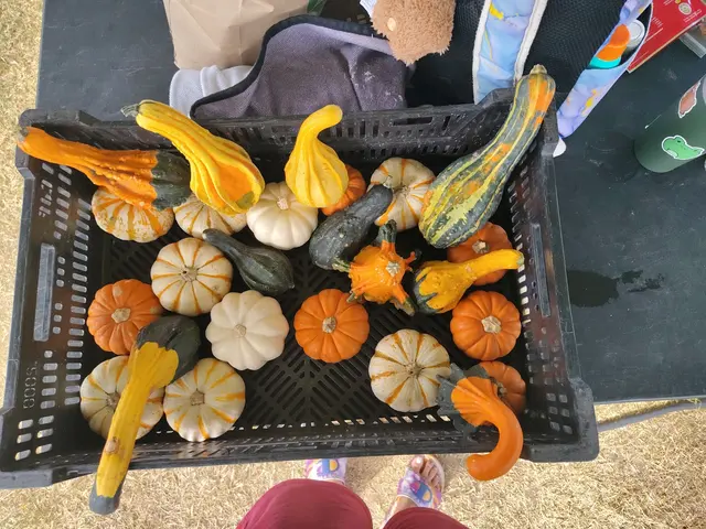 Customer photo of work by A New Leaf Garden Center in Broken Arrow, from Star Raven's review