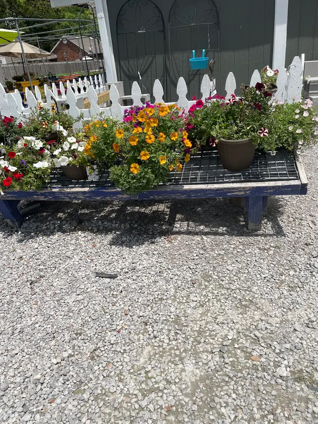 A New Leaf Garden Center in Broken Arrow — customer photo 11