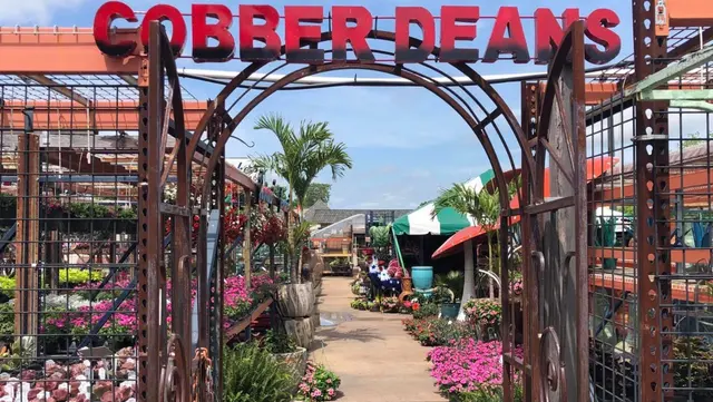 Cobber Deans — photo from the business 2