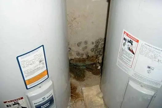 AMT Mold Testing & Indoor Air Quality Consulting — photo from the business 6