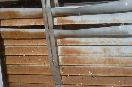 AMT Mold Testing & Indoor Air Quality Consulting — photo from the business 1