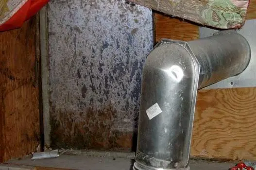 AMT Mold Testing & Indoor Air Quality Consulting — photo from the business 5