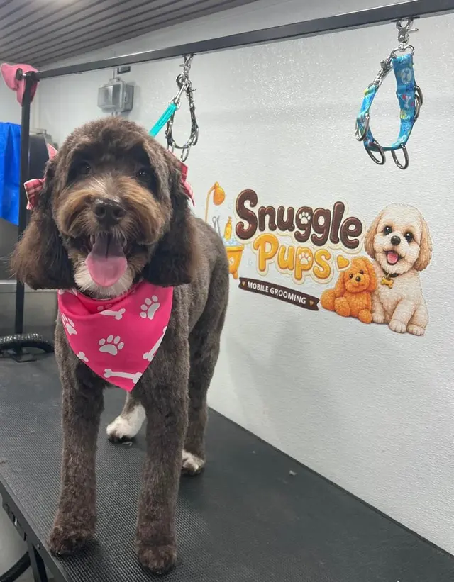 Snuggle Pups Mobile Grooming — photo from the business 1