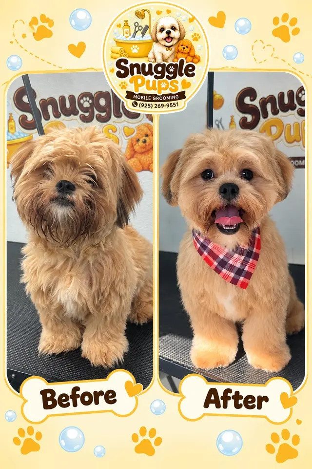 Customer photo of work by Snuggle Pups Mobile Grooming, from Tiffanie Artiga's review