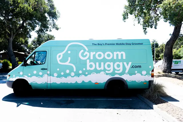 Groombuggy Mobile Dog Grooming — photo from the business 8