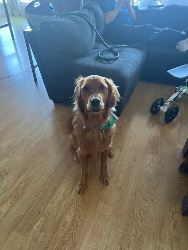Alpha Grooming Pet Salon — customer photo 6