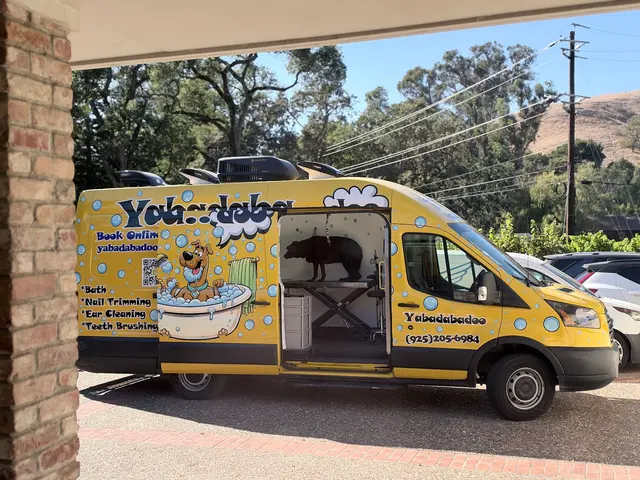 Customer photo of work by Yabadabadoo Dog Grooming, from Gary Goldman's review