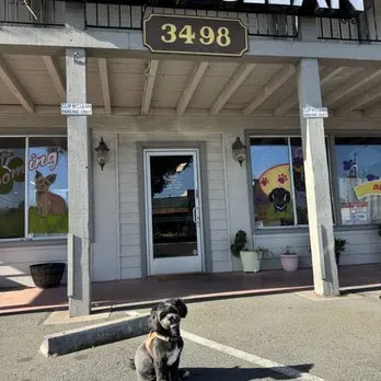 Clip N Clean Pet Grooming & Supplies — customer photo 2
