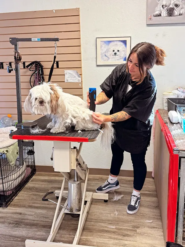 All Breed Grooming and Pet Day Care — customer photo 6