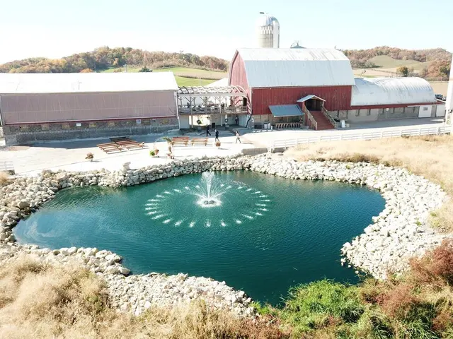 Country Reflections — photo from the business 12