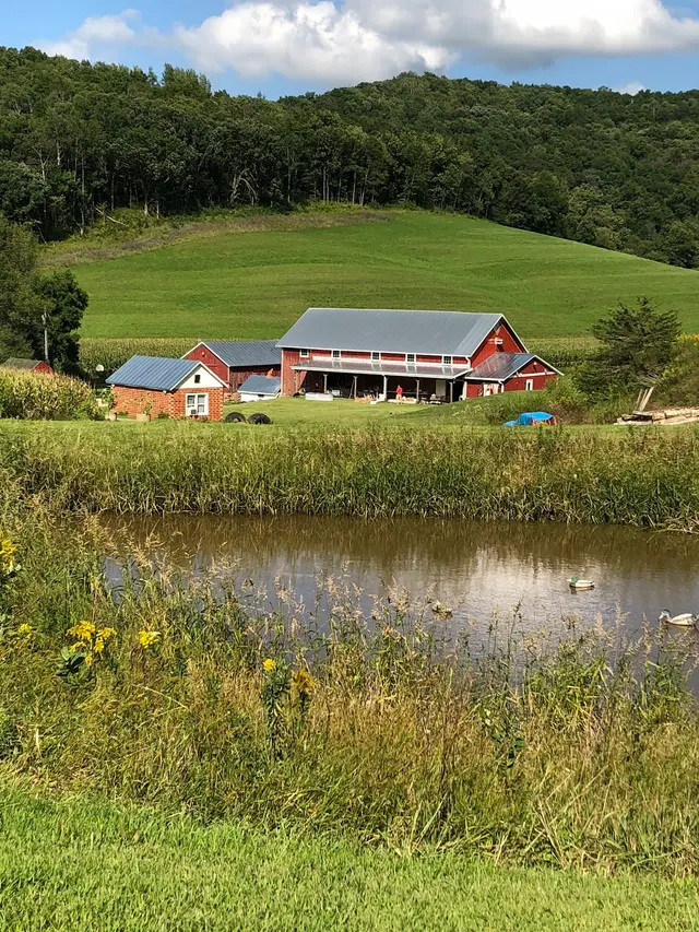 Horstmann Homestead Farm — customer photo 1